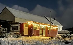 Tiny House Anneliese Hunde Okay